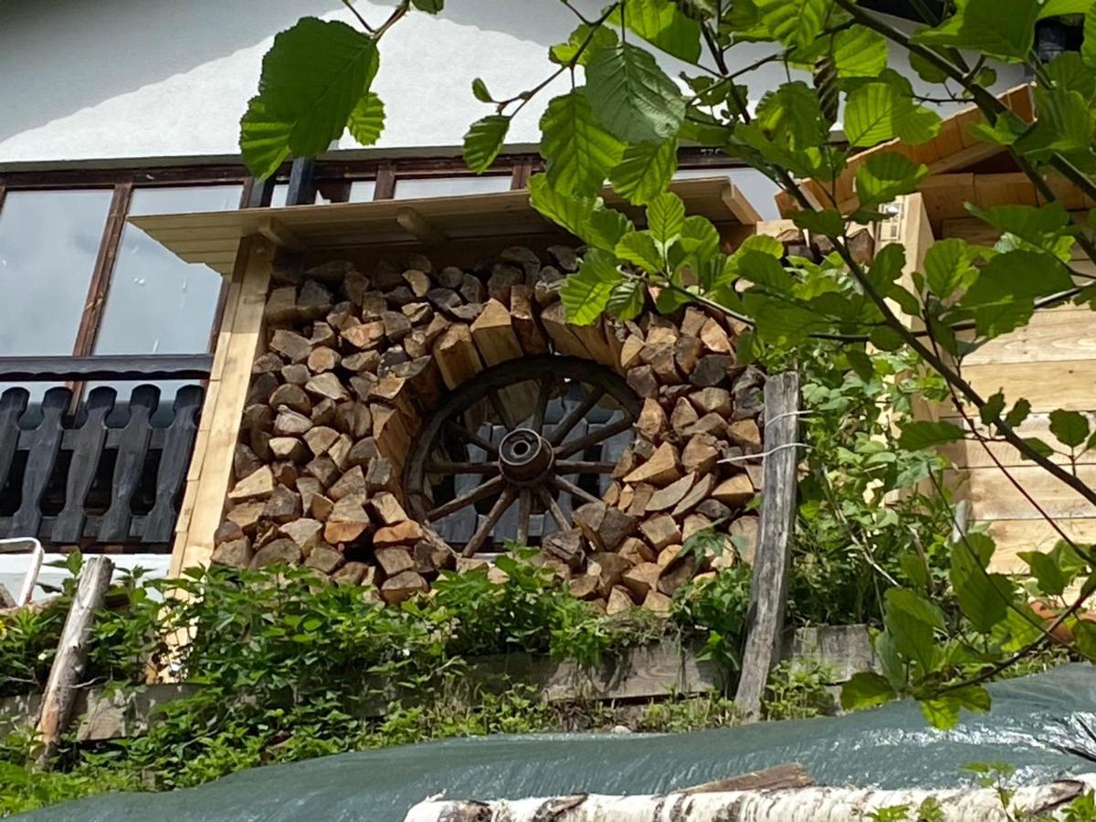 La Irmania Pension Ledenitzen Exteriér fotografie